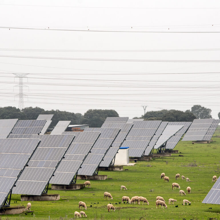 solar agriculture