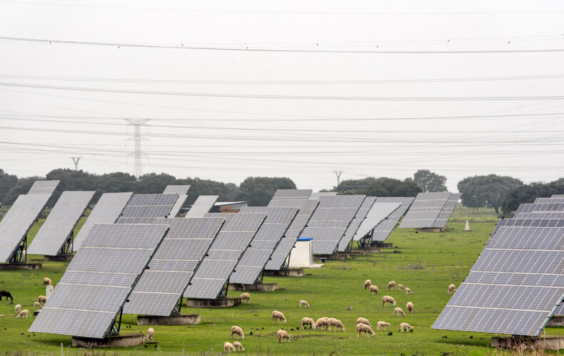 solar agriculture